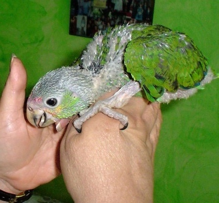 Foto 7